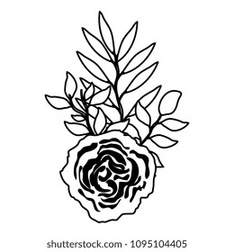 rose and leafs decorative icon