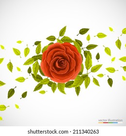 Rose and leafs on bright background. Vector illustration.