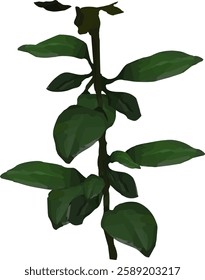 rose leaves and branch vector27