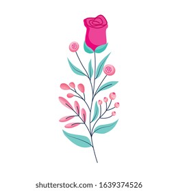 rose with leaves and branches isolated over white background. vector illustration