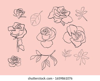 Rosa y hojas dibujadas por una línea continua en un estilo gráfico moderno y sencillo, silueta natural minimalista