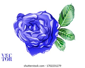 Rose and Leaves Elements. Botanic Rose Flower Swimwear Print. Hand Drawn Isolated Design. Girly Hawaiian Peony Background.  Classic Blue and Indigo Summer Peonies Leaves and Buds Sleepwear Texture. 