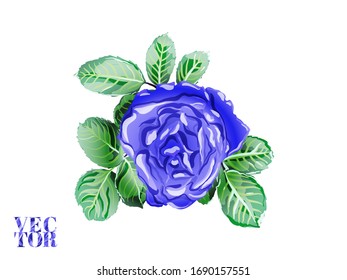 Rose and Leaves Elements. Girly Hawaiian Peony Background.  Botanic Rose Flower Swimwear Print. Hand Drawn Isolated Design. Summer Peonies Leaves and Buds Sleepwear Texture.  Classic Blue and Indigo