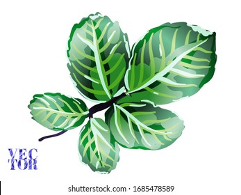   Rose und Blätter Elemente.  Summer Peonies Leaves und Buds Sleepwear Texture.  Girly Hawaiian Peony Hintergrund. Klassische Blaue und Indigoflorenflorenschmuck Print. Handgezeichnetes Einzeldesign.