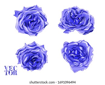 Rose y deja elementos.  Las Peonies de Verano dejan y cubos de textura de calzado.  El clásico azul e índigo girly hawaiano fondo peony. Impresión de bañador de flores de rosa botánica. Diseño Aislado Dibujado A Mano.