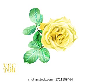 Rose and Leaves Elements. Summer Peonies Leaves and Buds Sleepwear Texture.  Botanic Rose Flower Swimwear Print. Hand Drawn Isolated Design. Gold Yellow Girly Hawaiian Peony Background. 