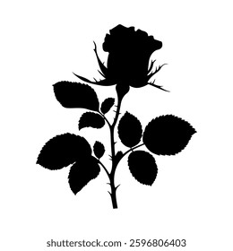 Rose with leaves. Flower silhouette. Vector illustration