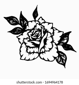 Rose with leaves. Hand drawn black ink beautiful graphic flower for decoration of frames, tattoo, cards, posters, social media template. Stock vector illustration isolated on transparent background.