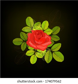 Rose with leaves on a dark background. Vector