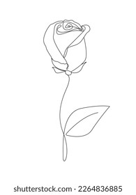  Rosa con hojas dibujando una línea.Dibujo continuo de la flor.Rosa dibujado a mano.rosa de una sola línea de flor.