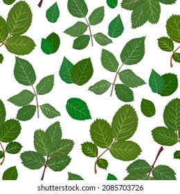 Rose leaves seamless pattern gouache flat illustration. Green leaves pattern isolated on white background for wrapping paper, wallpaper