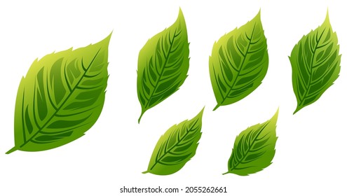 Rose Leaves Set Vector Illustration