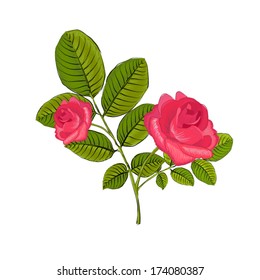 Rose with leaves. Vector