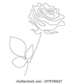 Rose Line art - Beautiful flower. Vector illustration. Continuous line drawing. Abstract minimal flower design for cover, prints, Home decor picture, decor, design, posters