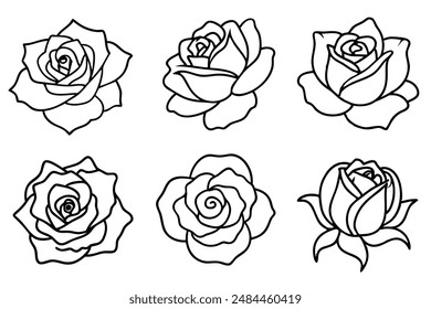 Rose Line Art Clean and Crisp Linework Illustration Design