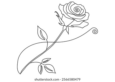 Rose line art drawing Images illustration collection Free Vector
