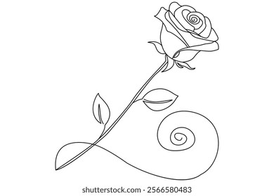 Rose line art drawing Images illustration collection Free Vector
