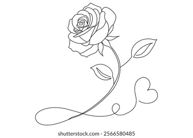 Rose line art drawing Images illustration collection Free Vector
