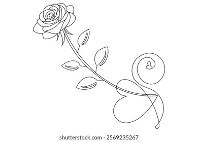  Rose line art drawing Images illustration collection Free Vector