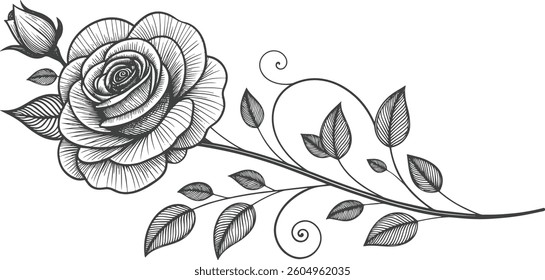 Rose Line Art Illustration – Decorative Floral Element with Leaves and Swirl Vines