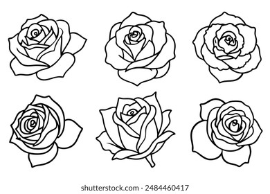 Rose Line Art Línea de líneas elegante para proyectos de ilustración de rosa