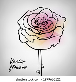 Ilustración dibujada a mano por el vector de la línea rosa. Flor decorativa de acuarela minimalista. 