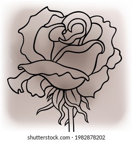 Rose line art vector hand drawn illustration. Minimalistic sketchy decorative watercolor flower. 