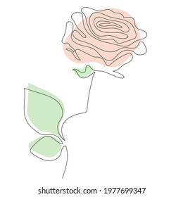 Rose Line art. Vector illustration. Abstract minimal flower design for cover, prints, Home decor picture, Design, decor and postcards 