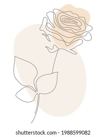 Rose Line art vector illustration of continuous line drawing and colored spots. 