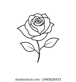rose line art vector illustration.