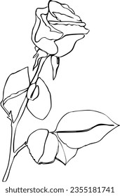 Rose line art vector ink vector illustration 