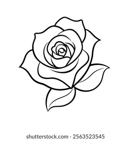 rose line art vector on white background