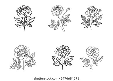 Rose Line Art Vektorgrafik auf weißem Hintergrund