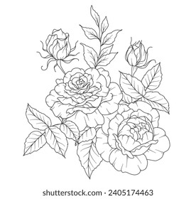 Rose Line Drawing. Black and white Floral Bouquets. Flower Coloring Page. Floral Line Art. Fine Line Rose flower illustration. Hand Drawn flowers. Botanical Coloring. Wedding invitation flowers