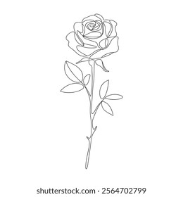 rose line drawing. continuous line art rose