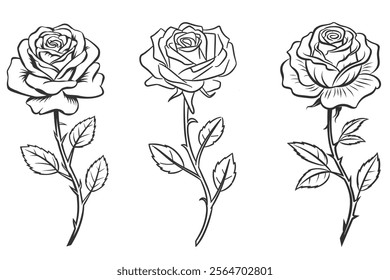 rose line drawing. continuous line art rose