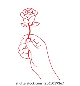 rose line drawing. continuous line art rose
