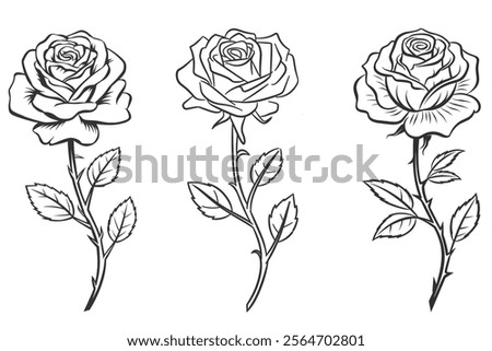 rose line drawing. continuous line art rose