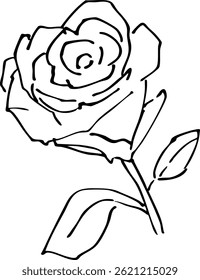 
Rose line drawing illustration material vector