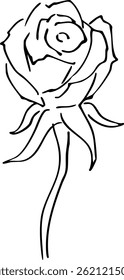 
Rose line drawing illustration material vector