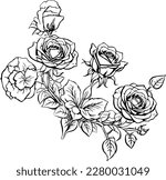 Rose line drawing, rose outline, flower cluster drawing, vintage rose, drawing,
