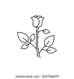 Rose сolor line icon. Essential oils. Pictogram for web page, mobile app, promo. UI UX GUI design element. Editable stroke.
