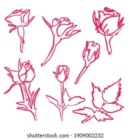 Rose line icon set in vector hand drawn style isolated on white background