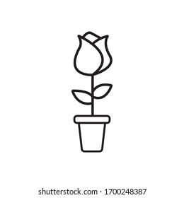 a rose line icon vector 