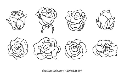  Línea Rosa. Conjunto de rosas decorativas dibujadas a mano aisladas en blanco. La línea negra rojaba las siluetas de inflorescencia de flores aisladas en fondo blanco. Ilustración vectorial.