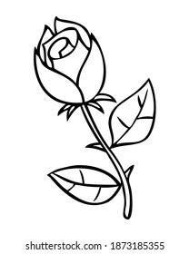 rose line vector illustration,isolated on white background, top view.