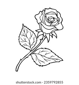 rose line vector illustration,isolated on white background,top view