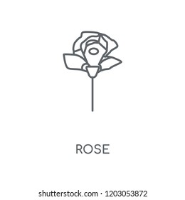 Rose linear icon. Rose concept stroke symbol design. Thin graphic elements vector illustration, outline pattern on a white background, eps 10.
