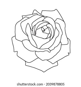 Rose linear vector illustration.flower,suitable for coloring,isoated on white background,out line