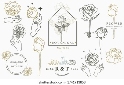 rose logo collection with leaves,geometric,circle,square frame.Vector illustration for icon,logo,sticker,printable and tattoo